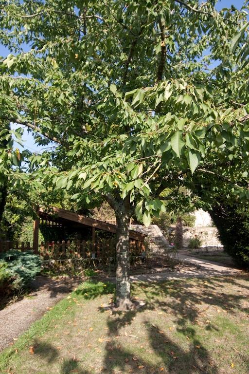 Le Petit Chateau - Tiffauges Proche Puy Dufou Buitenkant foto